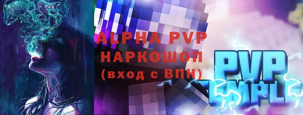 индика Беломорск