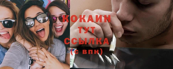 индика Беломорск