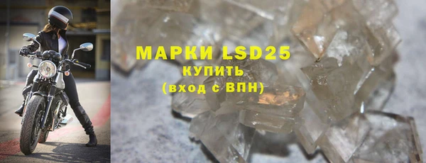 индика Беломорск