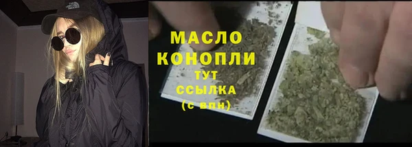 индика Беломорск