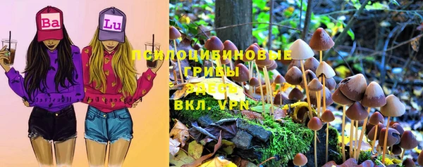 индика Беломорск