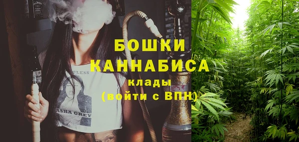 индика Беломорск