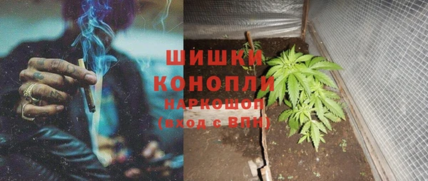 индика Беломорск