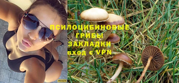 гашик Белоозёрский