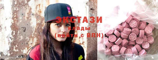 индика Беломорск